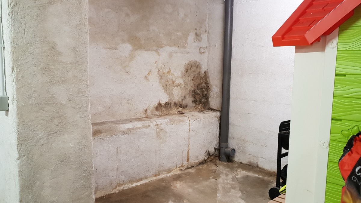 Infiltrations d'eau - Expertise humidité à Caen